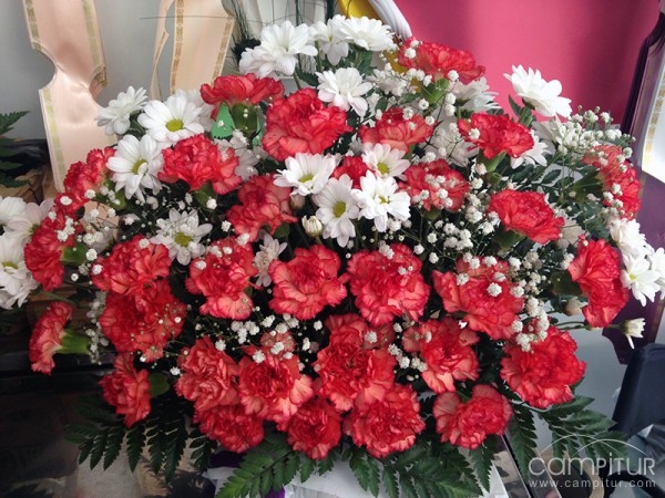 Floristería San Luís 