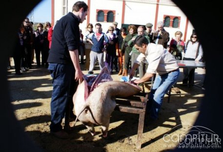 La Casa de Extremadura de Jerez de la Frontera visita Llerena 